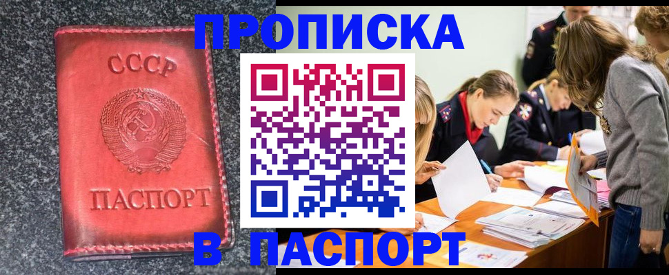 прописка для школы в Новосибирской области